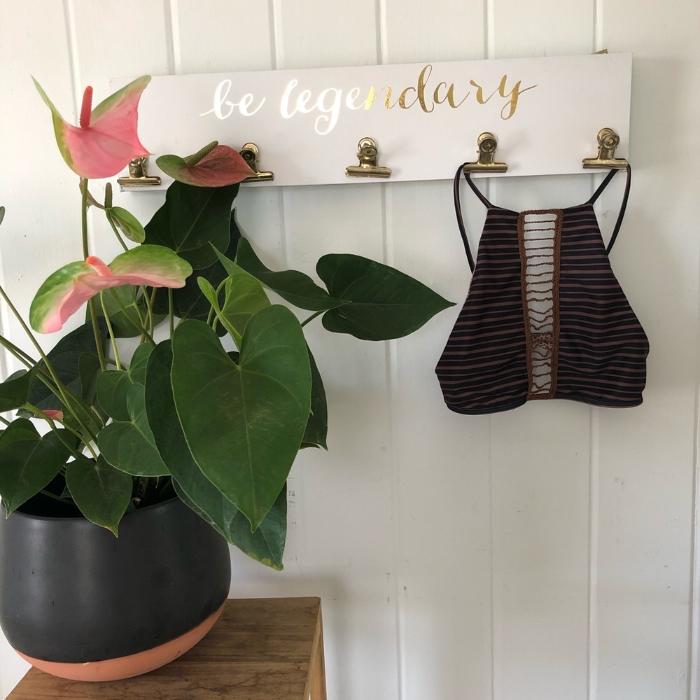 Acacia top